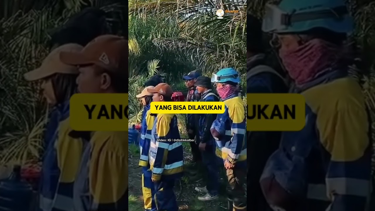 5 Cara Memadamkan Api Karhutla.#karhutla #kebakaranhutan #kebakaran #info #hutan
