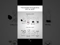 Crypto Exchanges Unleashed: Your 2025 Guide to Trading, Trends & Profits #crypto