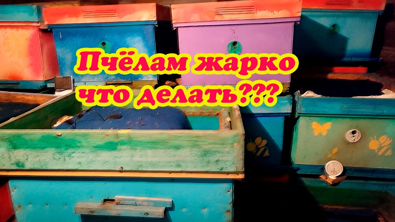 Жарко в ниве летом