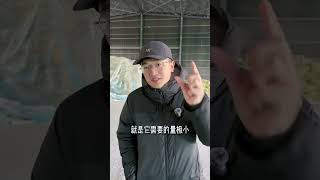 Is it useful to add trace elements to base fertilizer#Haohe Agriculture#Support Plan for t