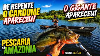 De repente o cardume apareceu e o gigante saiu Pescaria na Amazônia