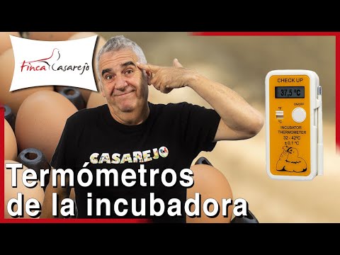 Video: ¿Por qué continúan las instalaciones de incubadoras?