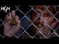 Dad's Goodbye: 'Avenge Me' Scene
