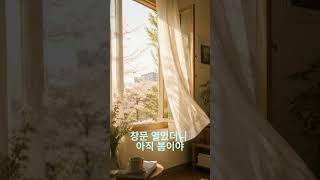 창문 열었더니 아직 봄이야 🌸 | lofi playlist