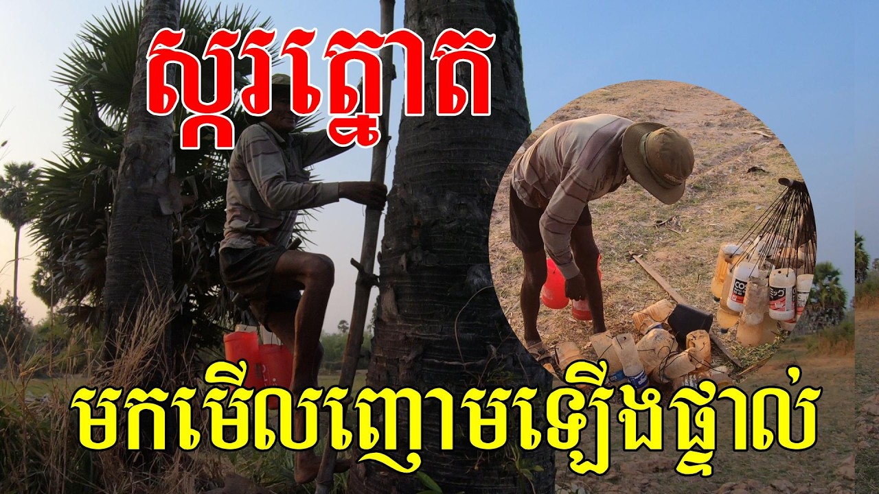 មកមើលពូឡើងត្នោត, ដើម្បីជីវភាពក្នុងគ្រួសារ