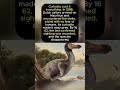 Dodo Extinction Story | How Humans Wiped Out a Fearless Species