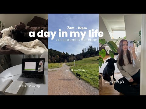 Ein Tag als Studentin mit Hund - So sieht unser Alltag aus