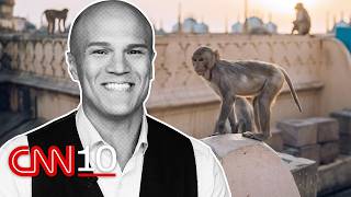How primate 'whisperers' are helping safeguard India's biggest events | August 21, 2026