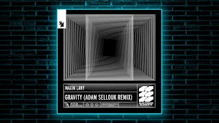 Maxim Lany - Gravity (Adam Sellouk Remix) [Armada] Resimi