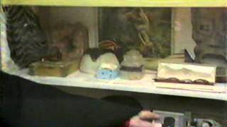 Forrest J. Ackerman And Rick Baker Interviews From The 1980S Ktla