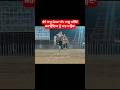 ਬਾਪੂ ਕਰਦਾ ਐਕਸਨ💪 #punjabisong #trendingshorts #kabaddilivematch #kabaddi365 #shortvideo