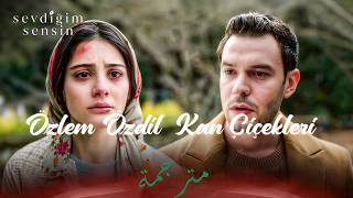 Sevdiğim Sensin - Özlem Özdil - Kan Çiçekleri مترجمة