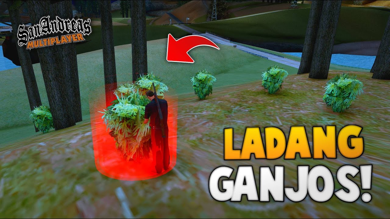 AKU MENEMUKAN DAN MEMUSNAHKAN LADANG GANJOS TERBESAR DIKOTA !? GTA SAMP ROLEPLAY INDONESIA
