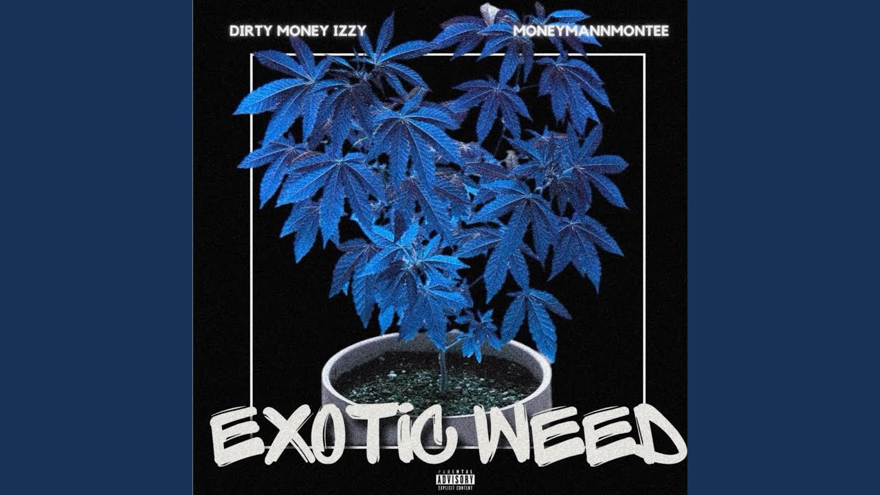 ExoticWeed (feat. MoneyManMontee)