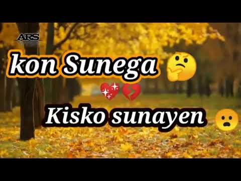 kon sunega kisko
