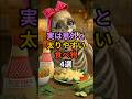 実は意外と太りやすい食べ物4選