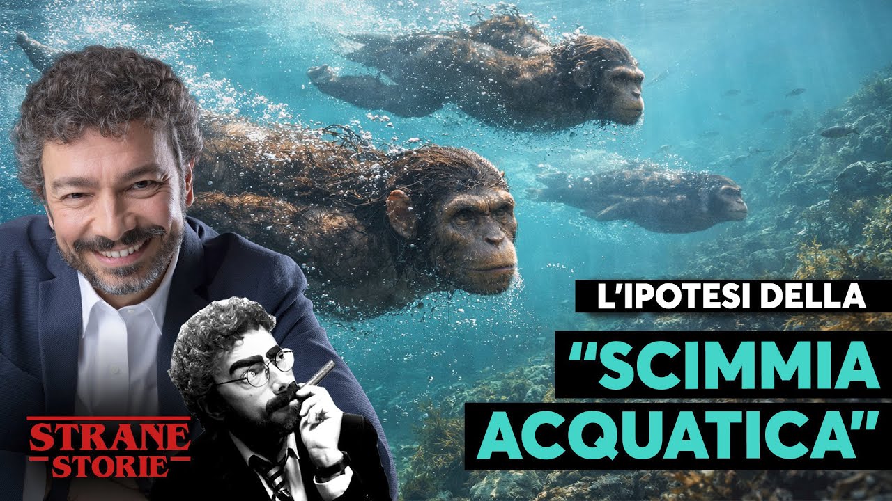 L'ipotesi della scimmia ACQUATICA