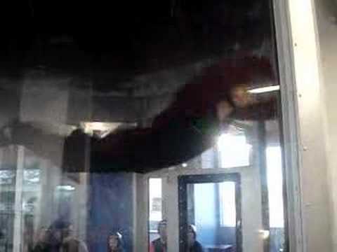 flyin webbit