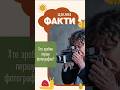 Хто зробив першу фотографію? Цікаві факти для дітей #shorts #books #shortsvideo #facts #книги