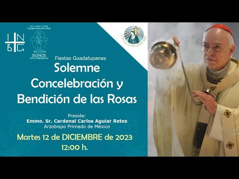 Solemne Concelebración y bendición de las Rosas, 12 de diciembre de 2023, 12:00h.