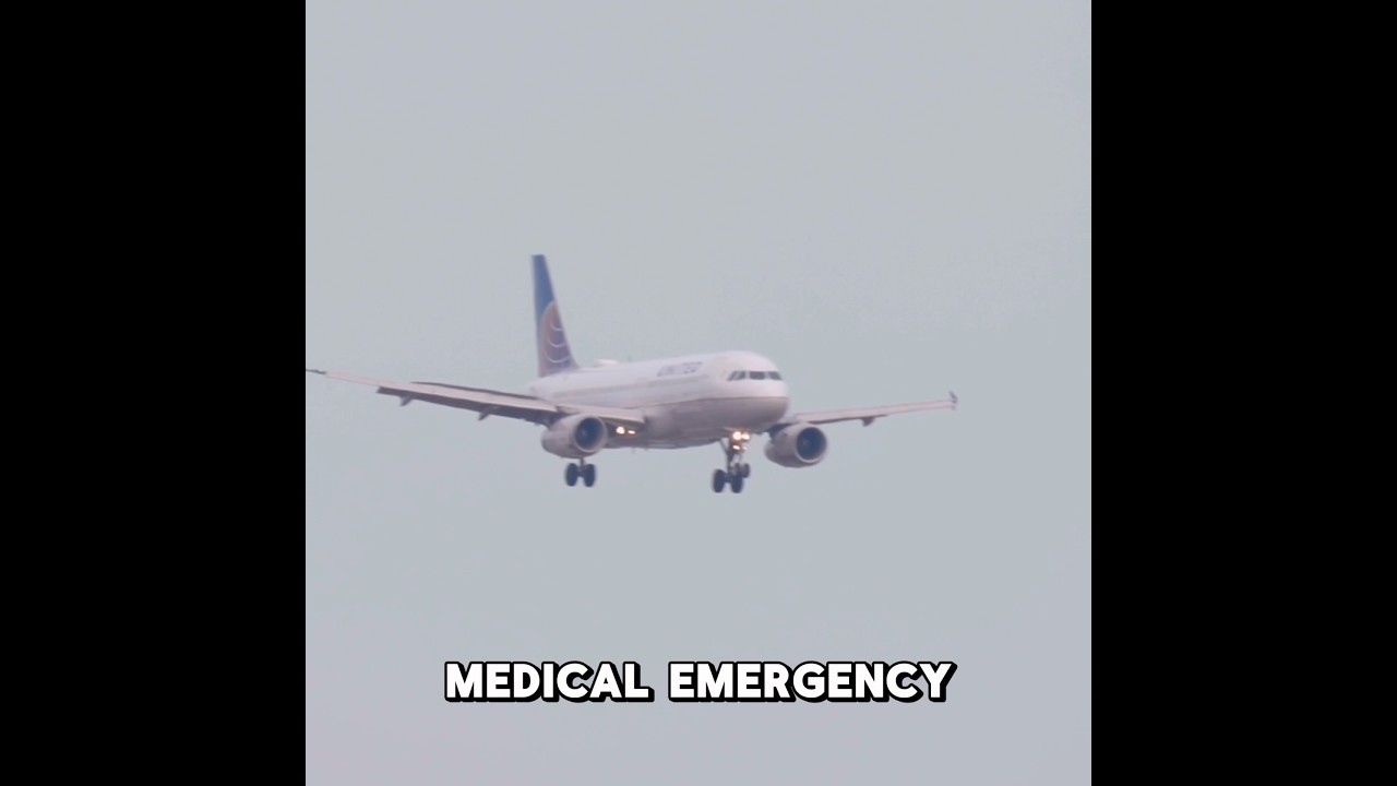 Sudden United Pilot Move Causes Multiple Injuries 😳🤯🚨