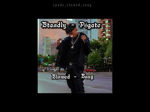 Pegate - Standly - Slowed + Reverb