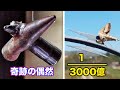 3000億分の１の偶然と奇跡の写真