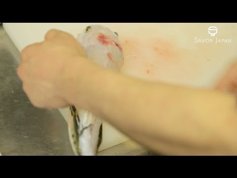 Learn from the master chef The skill -FUGU-