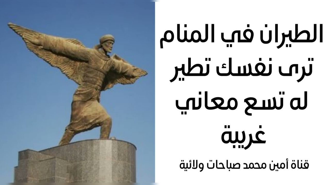 معنى الطيران في المنام ترى نفسك تطير له تسع معاني غريبة / لتفسير الأحلام 07760026673 // 07867178255