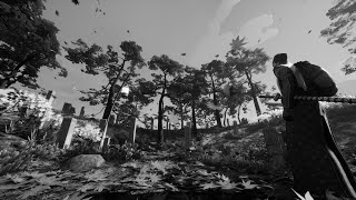 Ronin: Two Souls - Early Access Review