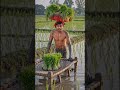 Brilliant Farm Hack! Using A Woven Cot For Plantation 🌾🚜💡 #shortsvideo