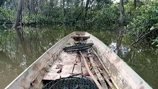 MENGAMBIL PERANGKAP BUBU KEPITING BAKAU SPOT HUTAN BAKAU