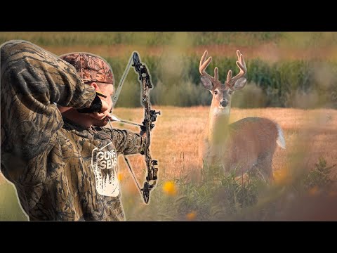 Shot Fired at VELVET 9 Point!! Deer Hunting Farmland
