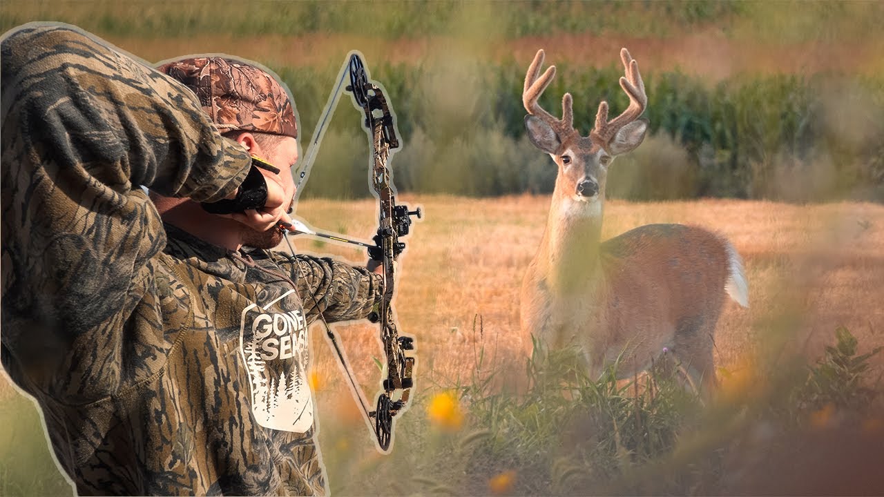 VELVET 9 очков с 25 ЯРДОВ!!