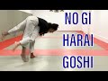 No gi Harai Goshi and leg pick