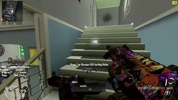 Found a hacker in my game (Black ops 2 PC)