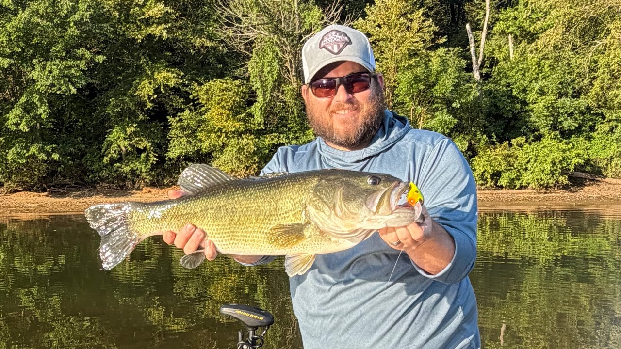 Huge Bass caught on Lake Lookout!