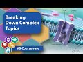 Visible Body | Breaking Down Complex Topics with VB Courseware