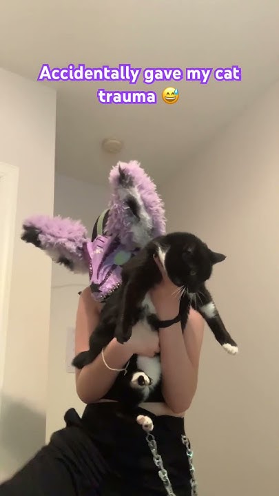 Accidentally Gave My Cat Trauma antizoo therian furries cat fyp accidentally-gave-my-cat-trauma-antizoo-therian-furries-cat-fyp
