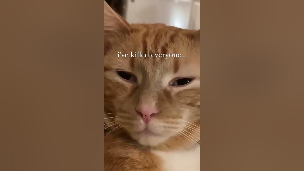 I SIT IN MY DESOLATE ROOM 🧎 (SUGAR by SYSTEM OF A DOWN) ig