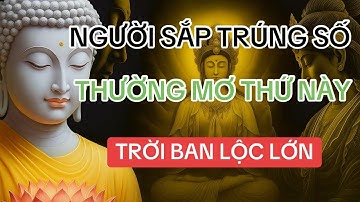 NGƯỜI SẮP TRÚNG SỐ, THƯỜNG MƠ THẤY 10 THỨ NÀY, ĐIỀM BÁO SẮP GIÀU, TRỜI BAN LỘC LỚN - Lời Phật Dạy!