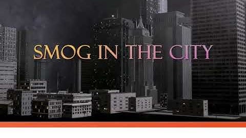 Excel 7 module 4 Smog in the City