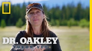 How to Protect a Horse's Eyes (Deleted Scene) | Dr. Oakley, Yukon Vet