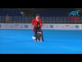 Fci dog dance world championship 2016  freestyle final   monika ballerini and breeze switzerland