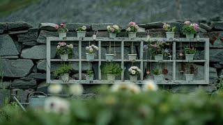 Creative Repurposed Window Ideas for Small Farmhouse Garden with Rustic Charm