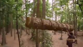 Bwana awe adui Wana adui zako katika jina la Yesu