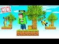 Playing SKYBLOCK with My FRIENDS In MINECRAFT!