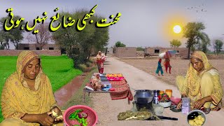 Living Village Life | Woman hardworking In Village Lifestyle | cooking food make | Traditional Life