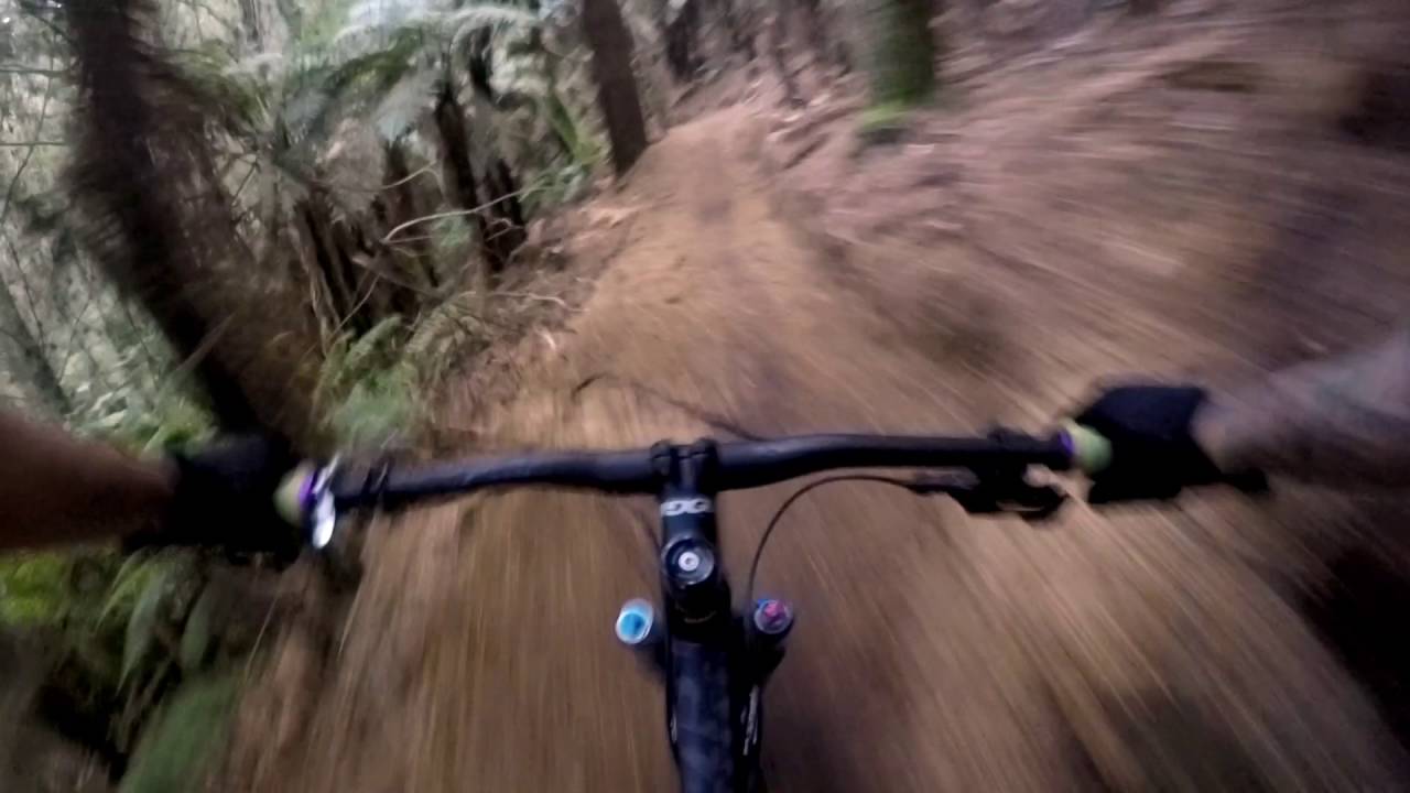 cougar mountain bike trails