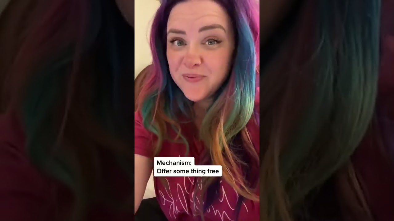 Lead Magnet Funnels Explained (in a few seconds) 